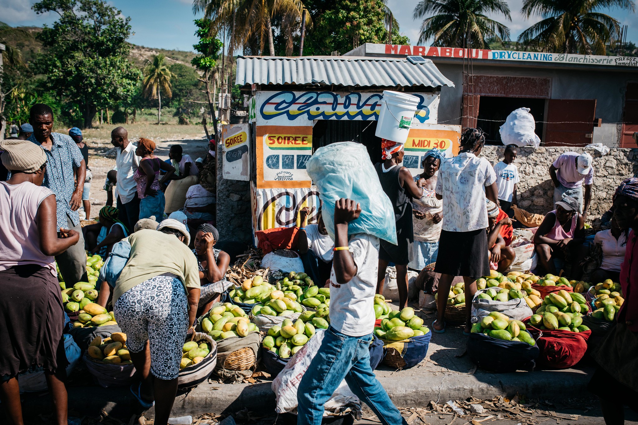 Káva arabica Haiti_Latino Cafe